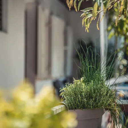 With Parking Space Biograd Na Moru, Biograd - 24023 *