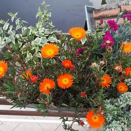 With Parking Space Biograd Na Moru, Biograd - 24023 דירה