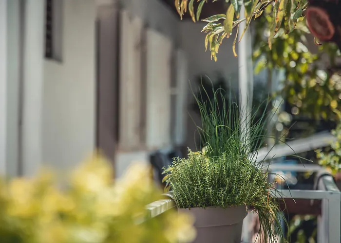 With Parking Space Biograd Na Moru, Biograd - 24023 *