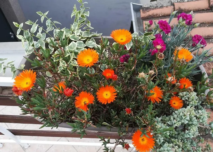 With Parking Space Biograd Na Moru, Biograd - 24023 דירה